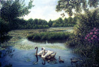 Stover Park