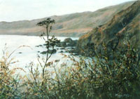 Cliffs Edge