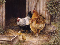 Inquisitive