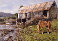 Kally Farm
