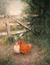 Meadow Gate