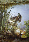 A Resting Place