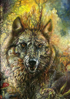 wolf